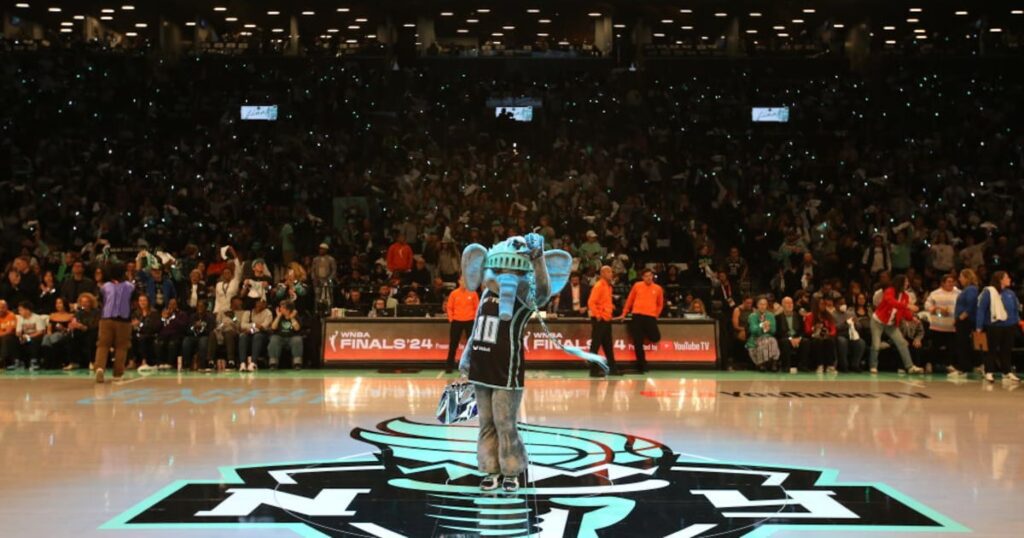 N.y. liberty achieves historic valuation in women's sports investment