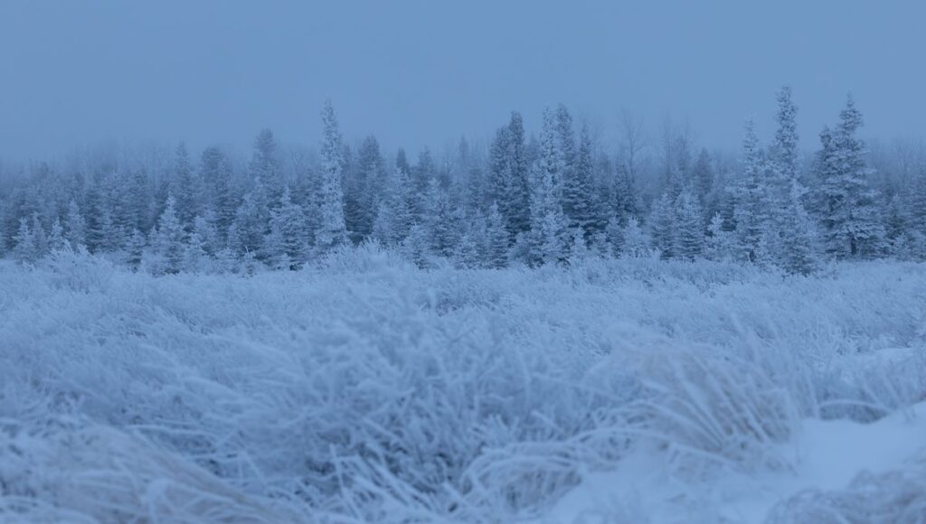 Women leading the charge in extreme sports: breaking barriers in