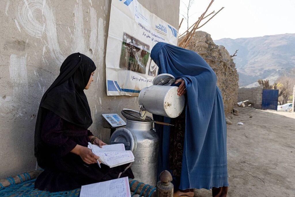 Education and opportunity: the struggles of young afghan women