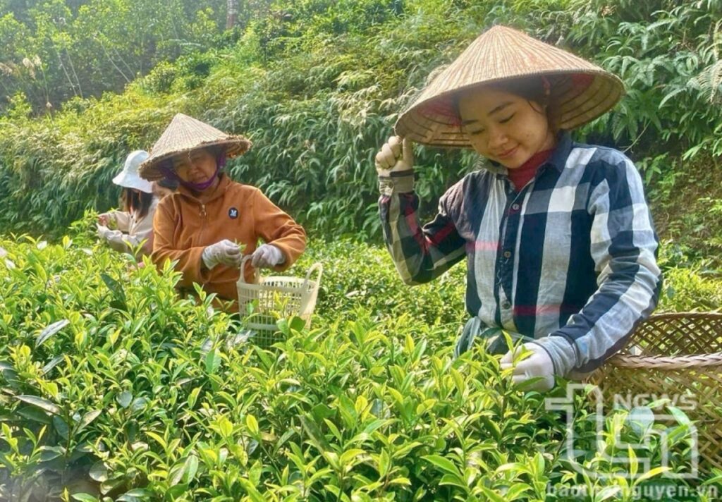 Empowering women in business and innovation