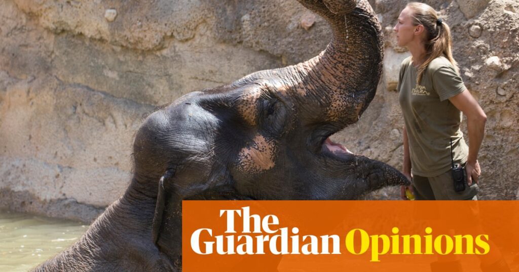 Transform your career: advice for women seeking change