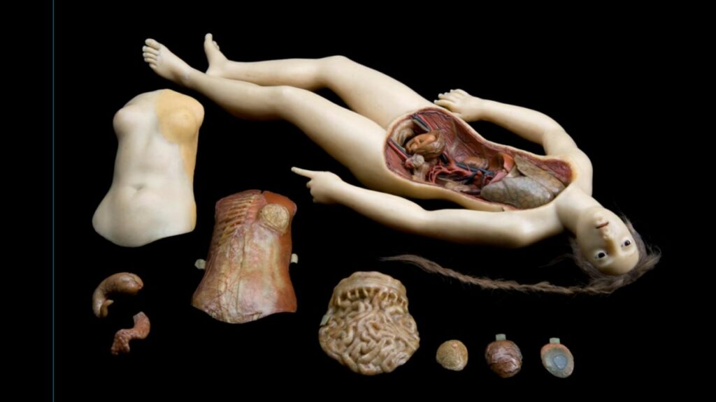 Women in art, science, and technology: a convergence in taos