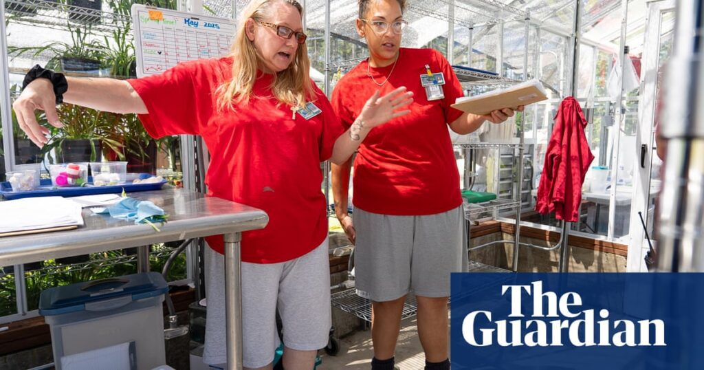 Empowering change: women in prison nurturing endangered butterflies