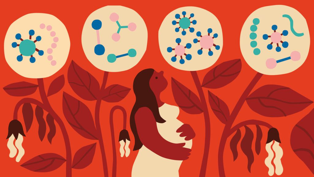 Enhancing maternal health through fetal abnormality screening