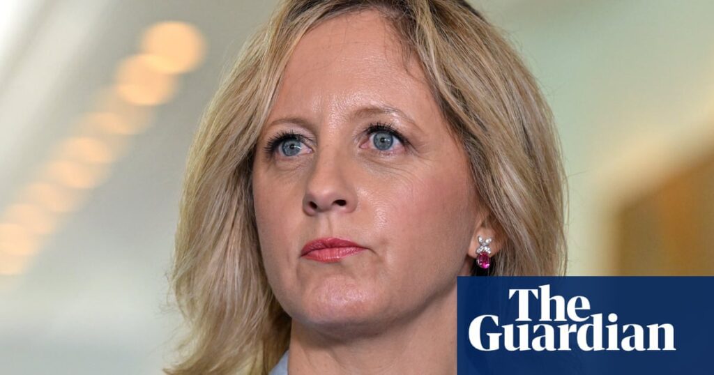 Liberal party explores new solutions for gender balance in leadership