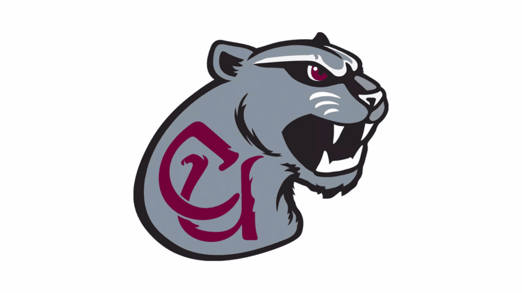 Mitchell joins concord university as assistant women's basketball coach
