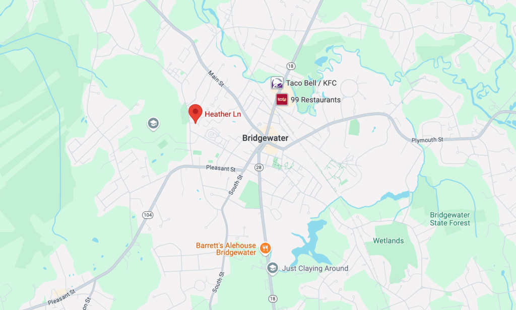 Two women charged after dogs found dead in hot car