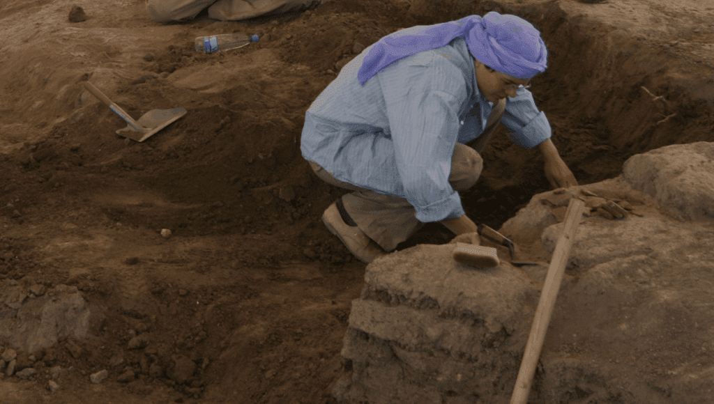 Unveiling women's roles in neolithic Çatalhöyük through ancient dna
