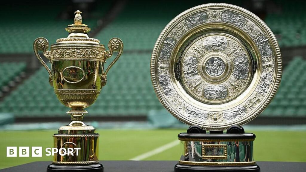 Wimbledon 2025: how prize money is allocated round by round