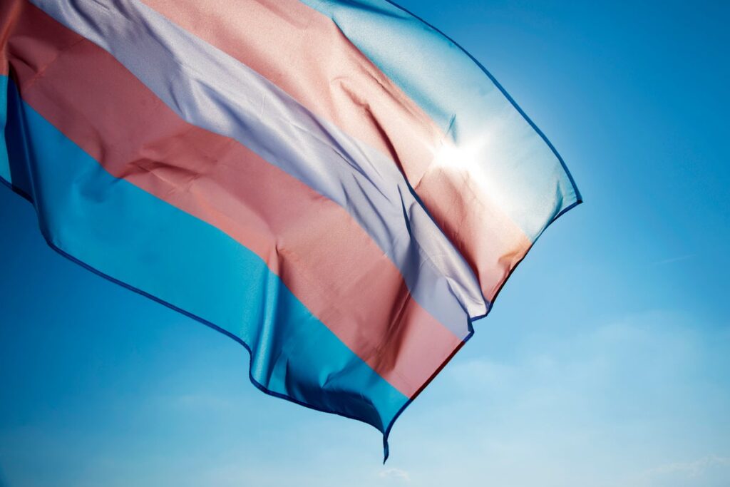 New guidelines propose restrictions on trans women in single sex spaces
