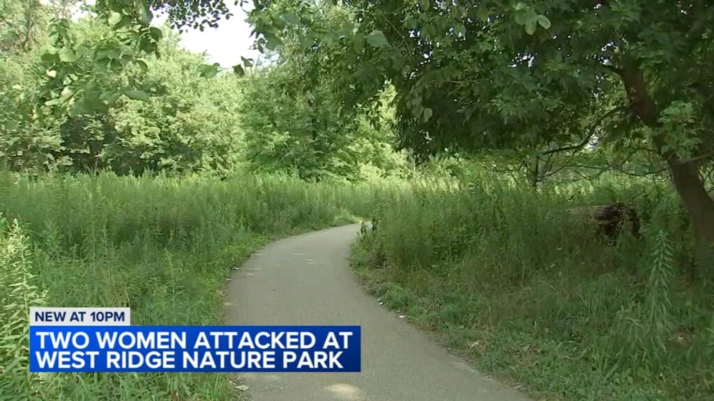 Police look into man accused of harassing women at west