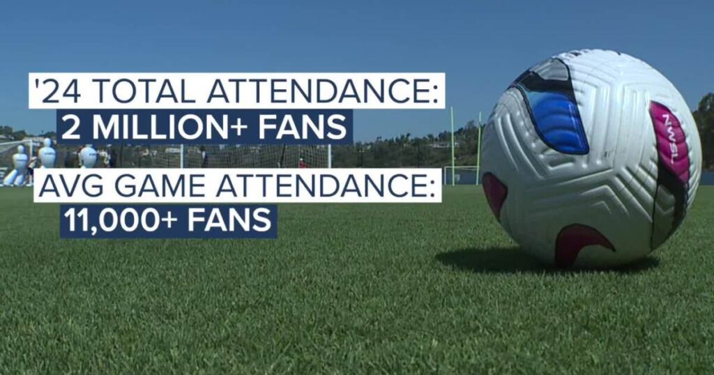 San diego wave fc thrives in the rising tide of