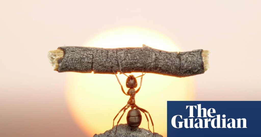 Unlock your strength: a beginner's guide to weight lifting for