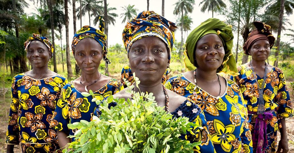 Unveiling gender equality: progress and challenges ahead