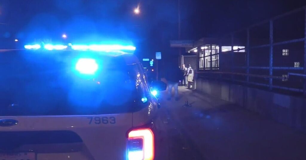 Woman injured in blue line train altercation