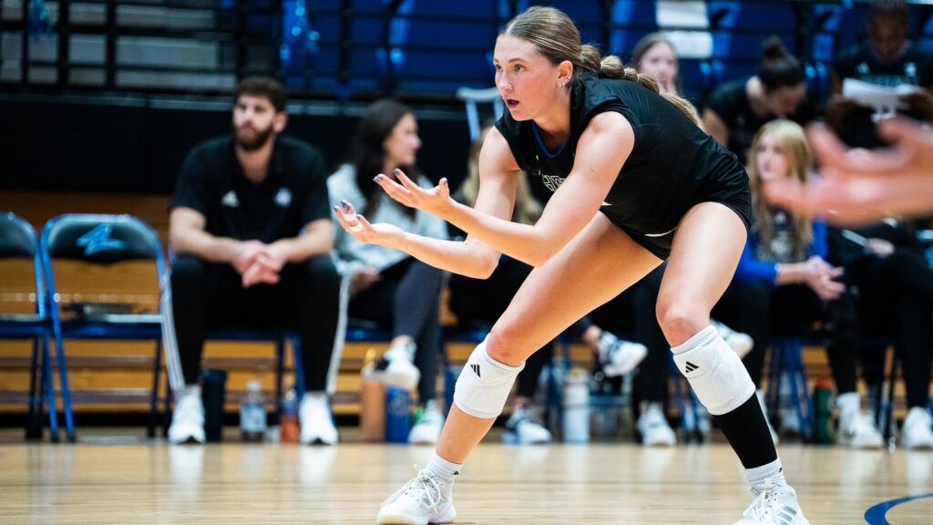 Brookbank honored as big south freshman of the week