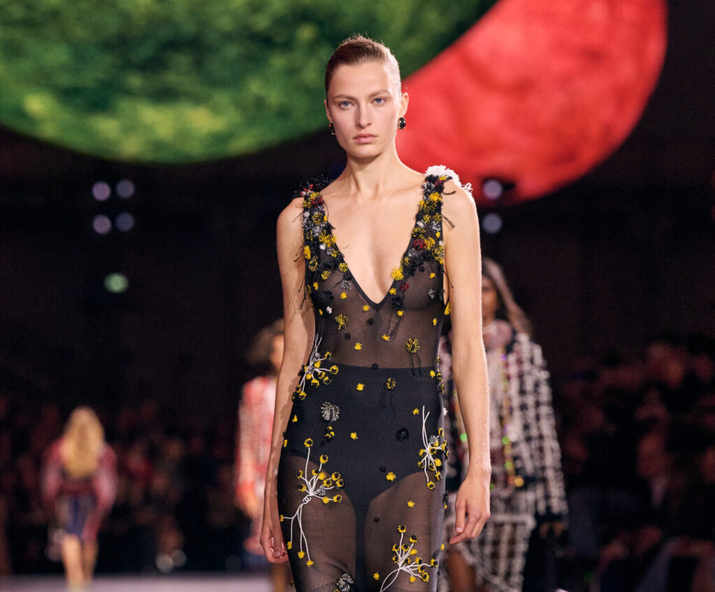 Matthieu blazy's stunning debut unveiled