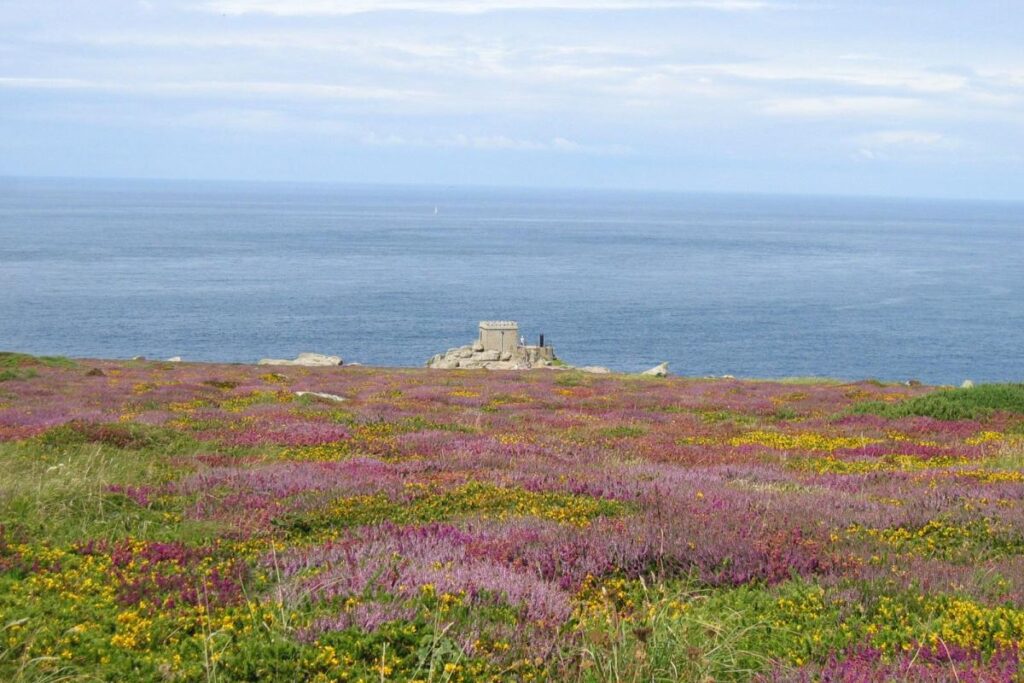 Pineapple heist: the masked women and the cliffside treasure