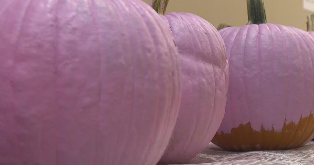 Pumpkin painting fun with women who rock and point park