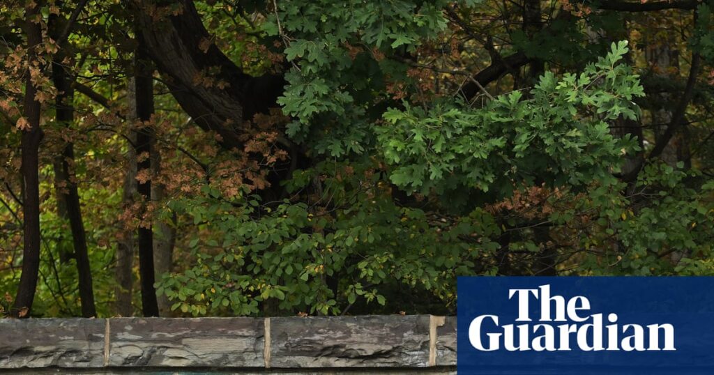 Texts about alleged Cornell gang rape released after investigation reopened |